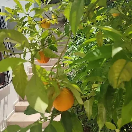 On The Historic Castle Hill Appartement *